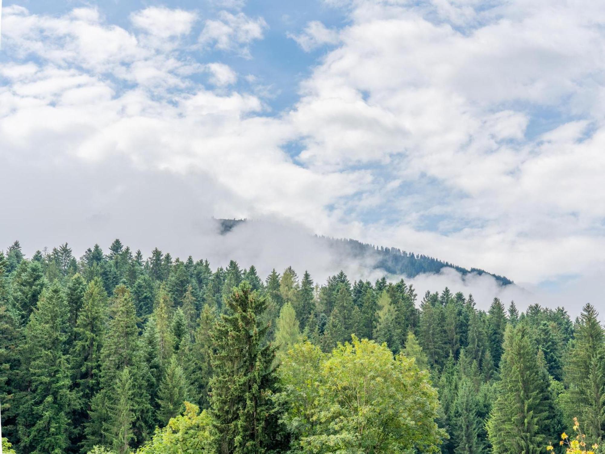 Pension Blaiken Xl Scheffau am Wilden Kaiser Extérieur photo
